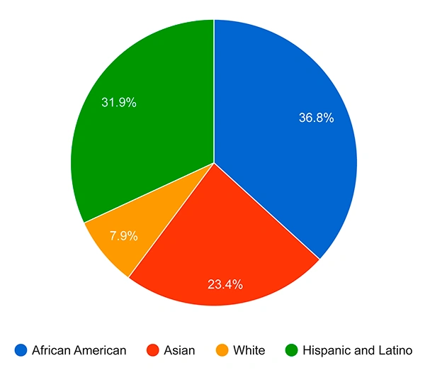 Ethnicity Representation
