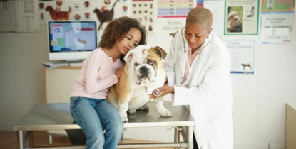 How to Get Veterinary Financing with No Credit Check